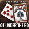 Radek Hoffman performs a card magic trick with playing cards and a box.