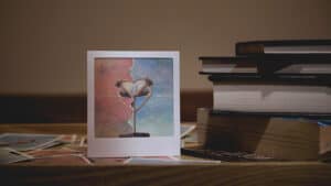 Artistic Polaroid of a flamingo with a heart-shaped head, part of the "Memory" series.