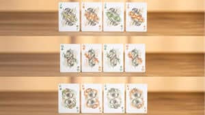 Bicycle mascot playing cards featuring colorful animal illustrations for magic tricks and card games.