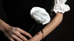Elegant fantasy rose illusion with paper petals and magic wand.