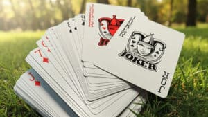 Disobedience playing cards featuring unique Joker and card designs for magic tricks and cardistry.