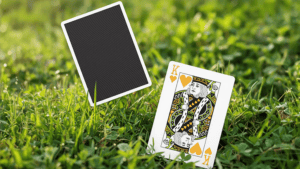 Playing card featuring the Queen of Hearts from North Wind Beacon deck by WohStudios.