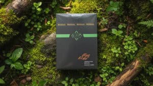 North Wind Beacon playing cards deck by WohStudios on green moss background.