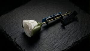 Rose held with a magic clamp for a stunning illusion.