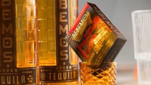 Quality Bebemos casino playing cards for magic tricks and cardistry. Perfect for magicians and card.