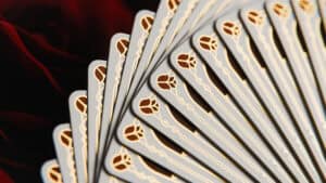 Close-up of skull and rose themed playing cards for magic tricks and card illusions.