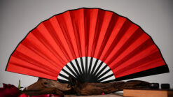 Colorful butterfly-shaped fan for magic performances and illusions.