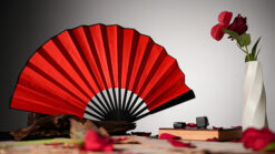 Elegant red and black folding fan with roses, part of a magic trick performance.