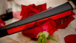 Close-up of a magic trick involving a butterfly illusion with a book and red roses.