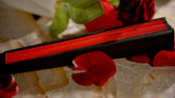 Elegant butterfly illusion with a red and black prop for magic performances.