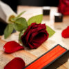 Close-up of a red rose and scattered rose petals on an open book with a magic prop in the background.