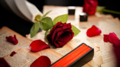 Close-up of a red rose and scattered rose petals on an open book with a magic prop in the background.