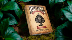 Close-up of a vintage Bicycle playing card deck on moss with green leaves.