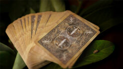 Ancient tarot cards for magical tricks and illusions.