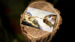 Elegant magic trick inspired by Michelangelo's 