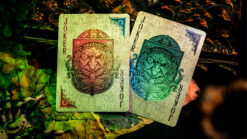 Close-up of keyhole reflection playing cards on a natural background.