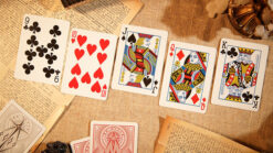 Close-up of Mr. Black V2 gray playing cards from Magical Tricks set.