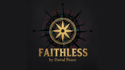 Book cover of Faithless by David Peace, dark background with compass design.