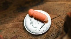Small orange capsule placed on a coin on a wooden surface, demonstrating a magic trick.