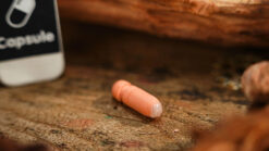 Close-up of a magic capsule prop used in illusion tricks.