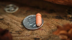 Close-up of a small capsule resting on a coin on a wooden surface, part of a magic trick setup.