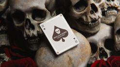 Gilded skulls and roses playing cards with skull design for magic tricks and card enthusiasts.